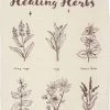 Deals 👍 GOTHIC GIFTS All Healing Herbs | TEA TOWEL ⭐