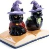 Flash Sale 🔥 HOMEWARES Black Cats | SALT & PEPPER SET 🛒 -Kitchen Sales Store homewares flavour mates black cats salt pepper set 3 e3718590 9446 4913 967a e66b0ad06ffe 700x700