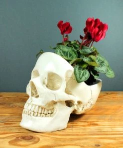 Flash Sale 🤩 SUCK UK Gothic Homewares Skull | BOWL [WHITE] 😉 -Kitchen Sales Store skull white tidy 1 700x700